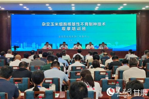 雜交玉米細胞核雄性不育制種技術(shù)觀摩培訓會在甘肅張掖成功舉辦，助力技術(shù)推廣與服務提升